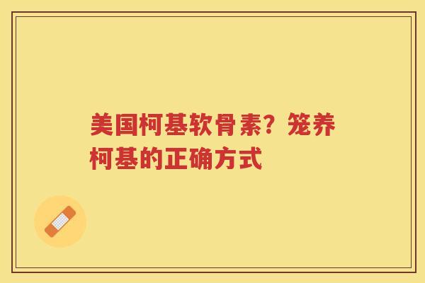 美国柯基软骨素?笼养柯基的正确方式 美国柯基软骨素?笼养柯基的正确方式