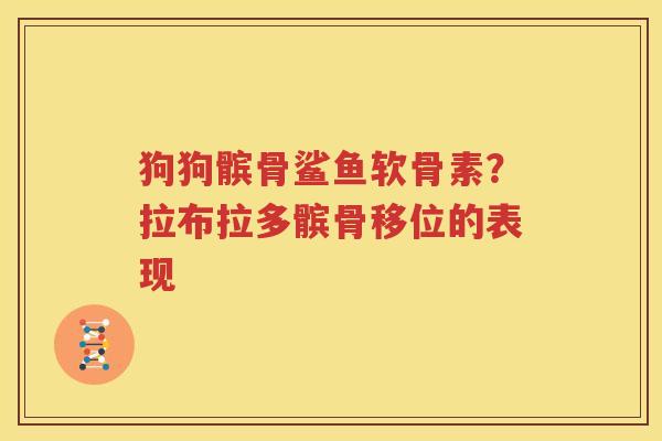 狗狗髌骨鲨鱼软骨素？拉布拉多髌骨移位的表现
