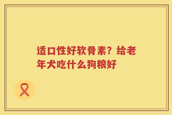 适口性好软骨素?给老年犬吃什么狗粮好 适口性好软骨素?给老年犬吃什么狗粮好