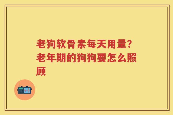 老狗软骨素每天用量？老年期的狗狗要怎么照顾