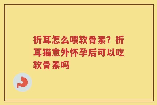折耳怎么喂软骨素?折耳猫意外怀孕后可以吃软骨素吗 折耳怎么喂软骨素?折耳猫意外怀孕后可以吃软骨素吗