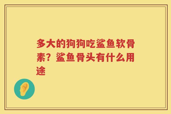 多大的狗狗吃鲨鱼软骨素？鲨鱼骨头有什么用途