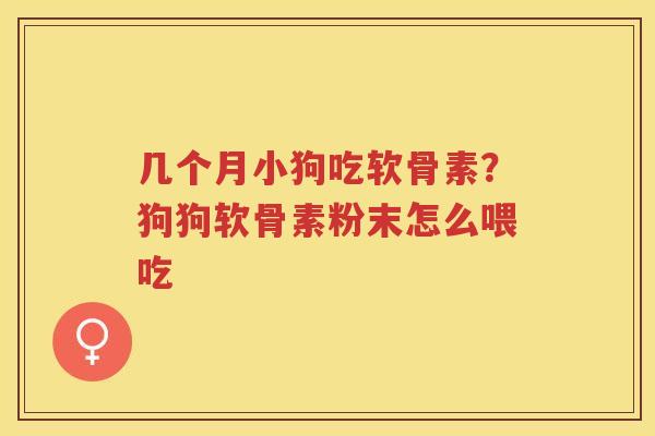 几个月小狗吃软骨素?狗狗软骨素粉末怎么喂吃 几个月小狗吃软骨素?狗狗软骨素粉末怎么喂吃