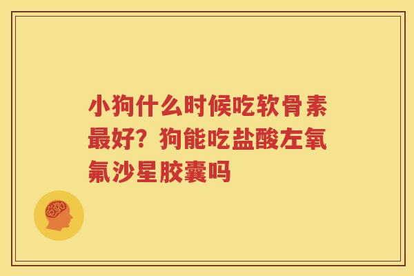 小狗什么时候吃软骨素好？狗能吃盐酸左氧氟沙星胶囊吗