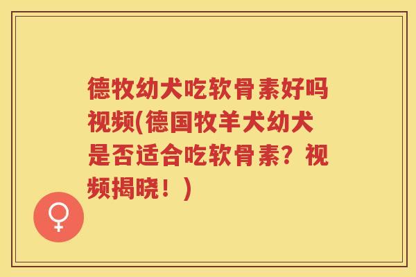 德牧幼犬吃软骨素好吗视频(德国牧羊犬幼犬是否适合吃软骨素?视频揭晓!) 德牧幼犬吃软骨素好吗视频(德国牧羊犬幼犬是否适合吃软骨素?视频揭晓!)