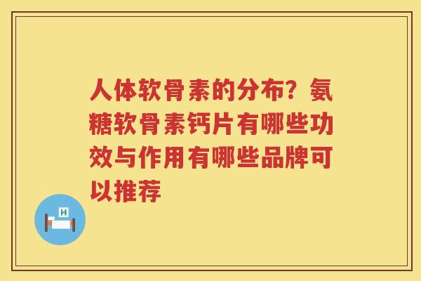 人体软骨素的分布？氨糖软骨素钙片有哪些功效与作用有哪些品牌可以推荐