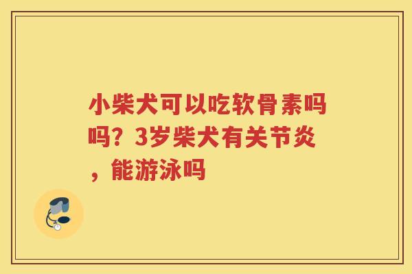 小柴犬可以吃软骨素吗吗?3岁柴犬有,能游泳吗 小柴犬可以吃软骨素吗吗?3岁柴犬有,能游泳吗