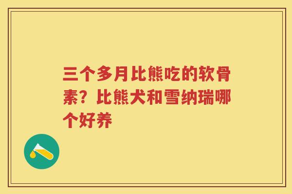 三个多月比熊吃的软骨素?比熊犬和雪纳瑞哪个好养 三个多月比熊吃的软骨素?比熊犬和雪纳瑞哪个好养