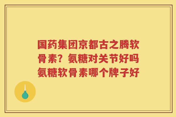 国药集团京都古之腾软骨素？氨糖对关节好吗氨糖软骨素哪个牌子好