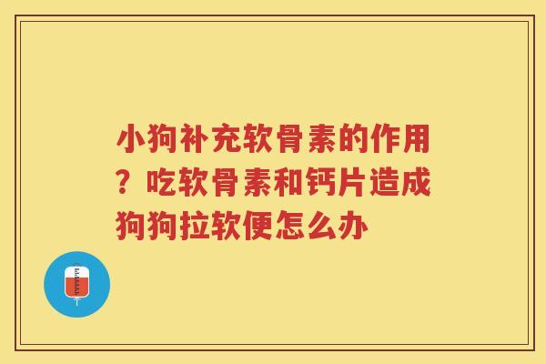 小狗补充软骨素的作用?吃软骨素和钙片造成狗狗拉软便怎么办 小狗补充软骨素的作用?吃软骨素和钙片造成狗狗拉软便怎么办