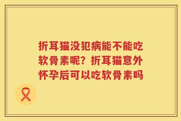 折耳猫没犯能不能吃软骨素呢？折耳猫意外怀孕后可以吃软骨素吗
