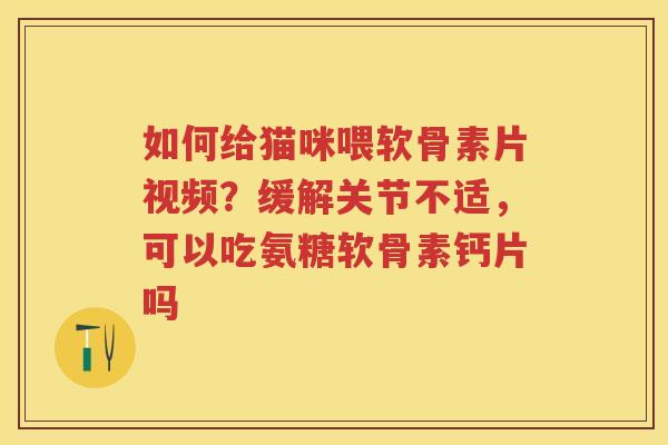 如何给猫咪喂软骨素片视频?缓解关节不适,可以吃氨糖软骨素钙片吗 如何给猫咪喂软骨素片视频?缓解关节不适,可以吃氨糖软骨素钙片吗