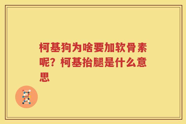 柯基狗为啥要加软骨素呢?柯基抬腿是什么意思 柯基狗为啥要加软骨素呢?柯基抬腿是什么意思