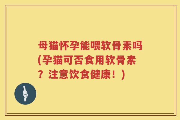 母猫怀孕能喂软骨素吗(孕猫可否食用软骨素？注意饮食健康！)