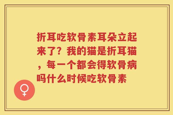 折耳吃软骨素耳朵立起来了？我的猫是折耳猫，每一个都会得软骨吗什么时候吃软骨素
