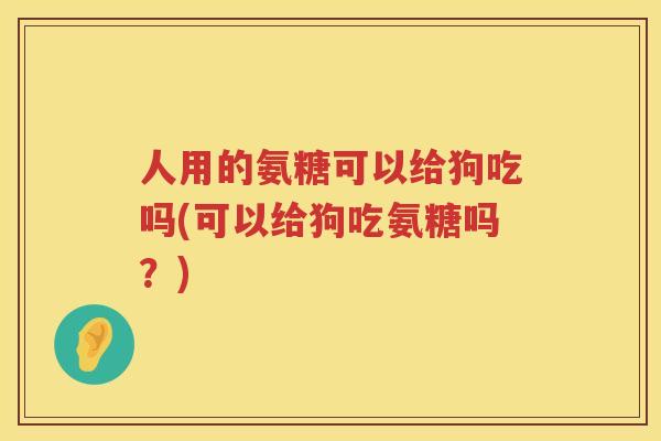 人用的氨糖可以给狗吃吗(可以给狗吃氨糖吗?) 人用的氨糖可以给狗吃吗(可以给狗吃氨糖吗?)