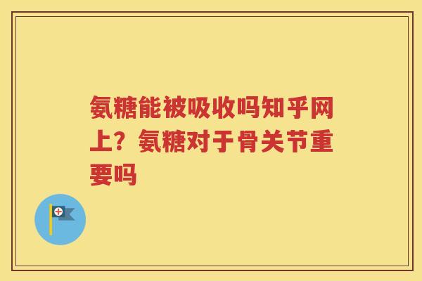 氨糖能被吸收吗知乎网上?氨糖对于骨关节重要吗 氨糖能被吸收吗知乎网上?氨糖对于骨关节重要吗