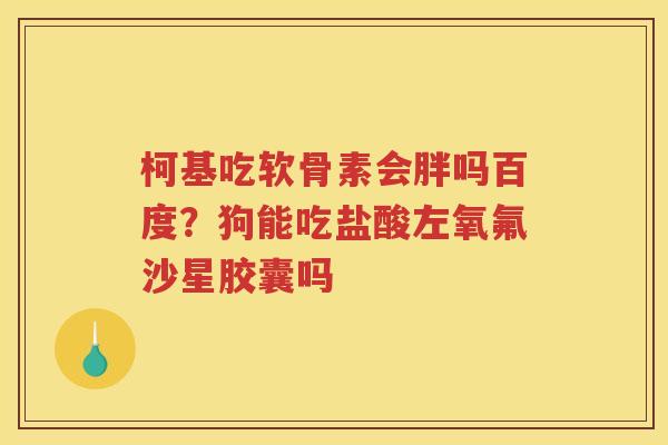 柯基吃软骨素会胖吗百度?狗能吃盐酸左氧氟沙星胶囊吗 柯基吃软骨素会胖吗百度?狗能吃盐酸左氧氟沙星胶囊吗