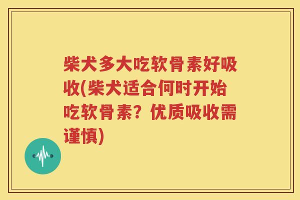 柴犬多大吃软骨素好吸收(柴犬适合何时开始吃软骨素?优质吸收需谨慎) 柴犬多大吃软骨素好吸收(柴犬适合何时开始吃软骨素?优质吸收需谨慎)