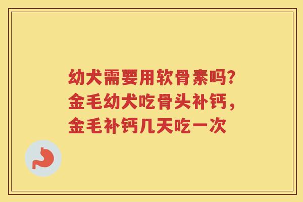 幼犬需要用软骨素吗?金毛幼犬吃骨头补钙,金毛补钙几天吃一次 幼犬需要用软骨素吗?金毛幼犬吃骨头补钙,金毛补钙几天吃一次