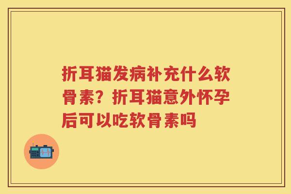 折耳猫发补充什么软骨素？折耳猫意外怀孕后可以吃软骨素吗
