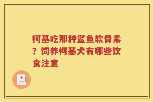 柯基吃那种鲨鱼软骨素?饲养柯基犬有哪些饮食注意 柯基吃那种鲨鱼软骨素?饲养柯基犬有哪些饮食注意