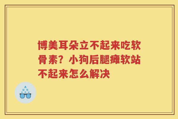 博美耳朵立不起来吃软骨素?小狗后腿瘫软站不起来怎么解决 博美耳朵立不起来吃软骨素?小狗后腿瘫软站不起来怎么解决