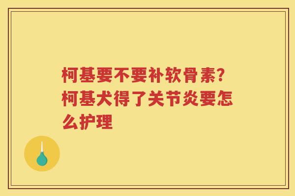 柯基要不要补软骨素?柯基犬得了要怎么护理 柯基要不要补软骨素?柯基犬得了要怎么护理