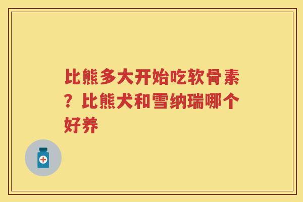 比熊多大开始吃软骨素?比熊犬和雪纳瑞哪个好养 比熊多大开始吃软骨素?比熊犬和雪纳瑞哪个好养