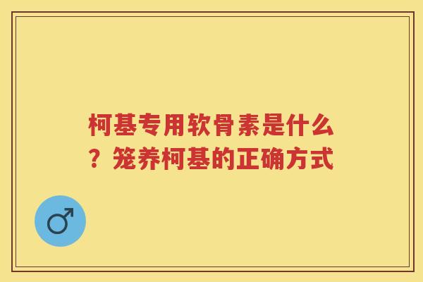 柯基专用软骨素是什么？笼养柯基的正确方式