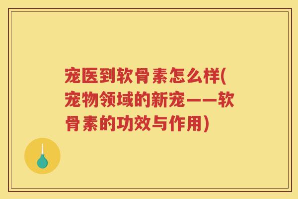 宠医到软骨素怎么样(宠物领域的新宠——软骨素的功效与作用) 宠医到软骨素怎么样(宠物领域的新宠——软骨素的功效与作用)