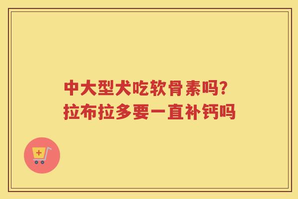 中大型犬吃软骨素吗?拉布拉多要一直补钙吗 中大型犬吃软骨素吗?拉布拉多要一直补钙吗
