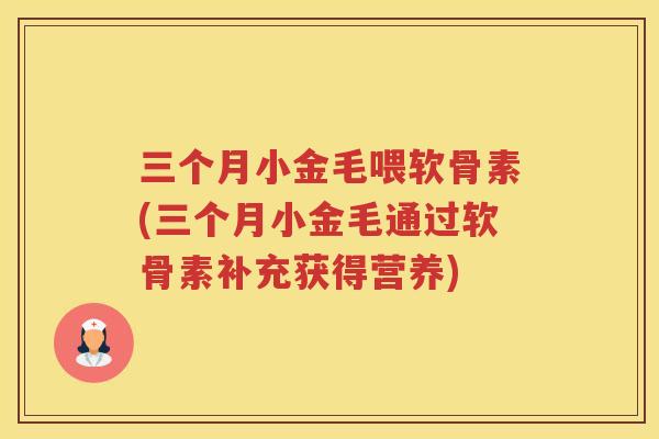 三个月小金毛喂软骨素(三个月小金毛通过软骨素补充获得营养) 三个月小金毛喂软骨素(三个月小金毛通过软骨素补充获得营养)