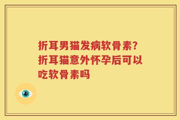 折耳男猫发软骨素?折耳猫意外怀孕后可以吃软骨素吗 折耳男猫发软骨素?折耳猫意外怀孕后可以吃软骨素吗