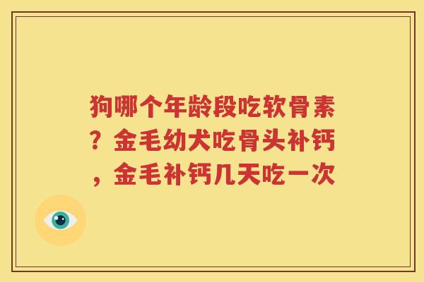 狗哪个年龄段吃软骨素?金毛幼犬吃骨头补钙,金毛补钙几天吃一次 狗哪个年龄段吃软骨素?金毛幼犬吃骨头补钙,金毛补钙几天吃一次