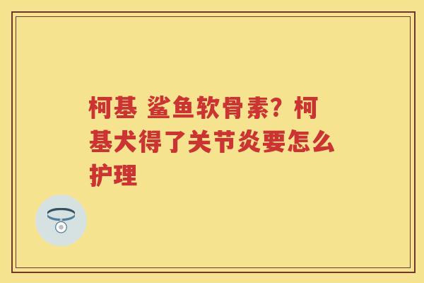 柯基 鲨鱼软骨素?柯基犬得了要怎么护理 柯基 鲨鱼软骨素?柯基犬得了要怎么护理