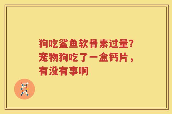 狗吃鲨鱼软骨素过量？宠物狗吃了一盒钙片，有没有事啊