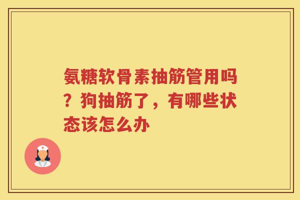 氨糖软骨素抽筋管用吗？狗抽筋了，有哪些状态该怎么办