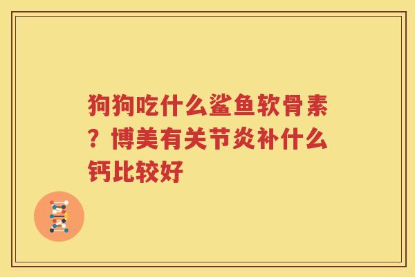 狗狗吃什么鲨鱼软骨素？博美有补什么钙比较好