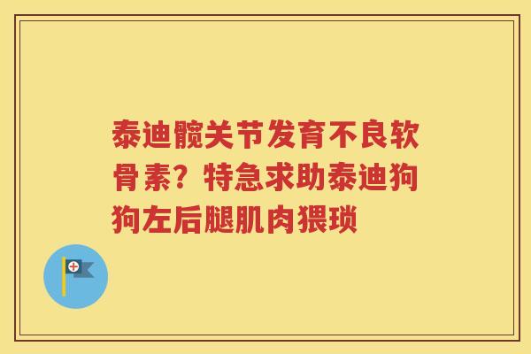 泰迪髋关节发育不良软骨素？特急求助泰迪狗狗左后腿肌肉猥琐