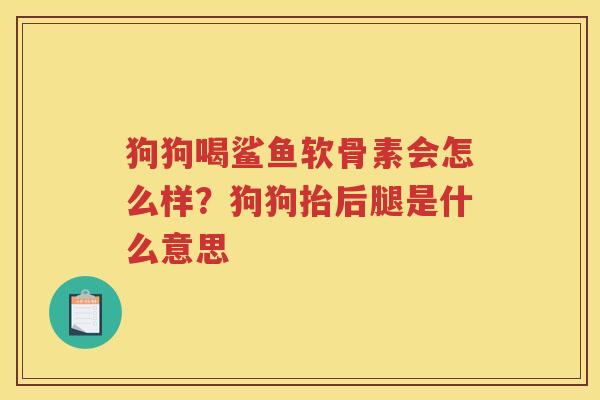 狗狗喝鲨鱼软骨素会怎么样？狗狗抬后腿是什么意思