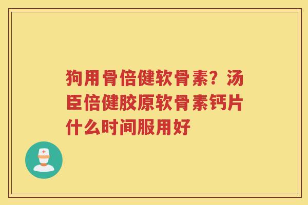 狗用骨倍健软骨素？汤臣倍健胶原软骨素钙片什么时间服用好