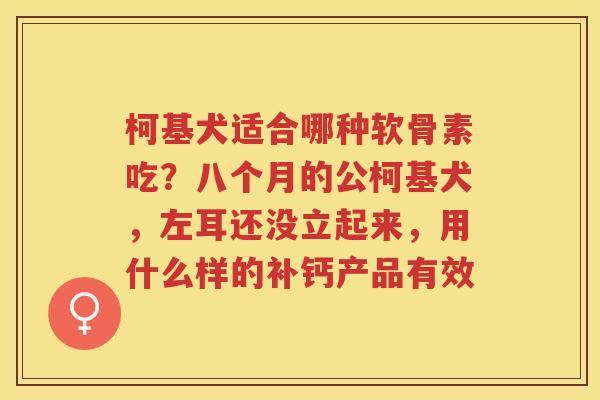 柯基犬适合哪种软骨素吃?八个月的公柯基犬,左耳还没立起来,用什么样的补钙产品有效 柯基犬适合哪种软骨素吃?八个月的公柯基犬,左耳还没立起来,用什么样的补钙产品有效