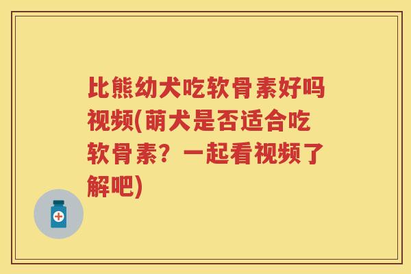 比熊幼犬吃软骨素好吗视频(萌犬是否适合吃软骨素?一起看视频了解吧) 比熊幼犬吃软骨素好吗视频(萌犬是否适合吃软骨素?一起看视频了解吧)