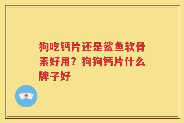 狗吃钙片还是鲨鱼软骨素好用？狗狗钙片什么牌子好