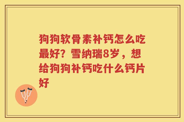 狗狗软骨素补钙怎么吃好？雪纳瑞8岁，想给狗狗补钙吃什么钙片好