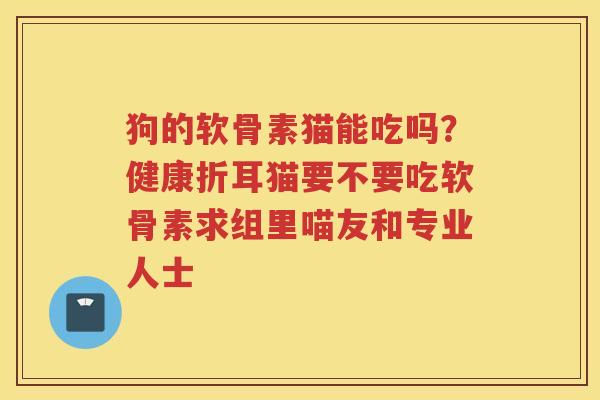 狗的软骨素猫能吃吗?健康折耳猫要不要吃软骨素求组里喵友和专业人士 狗的软骨素猫能吃吗?健康折耳猫要不要吃软骨素求组里喵友和专业人士