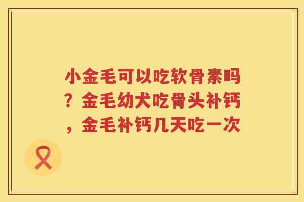 小金毛可以吃软骨素吗?金毛幼犬吃骨头补钙,金毛补钙几天吃一次 小金毛可以吃软骨素吗?金毛幼犬吃骨头补钙,金毛补钙几天吃一次