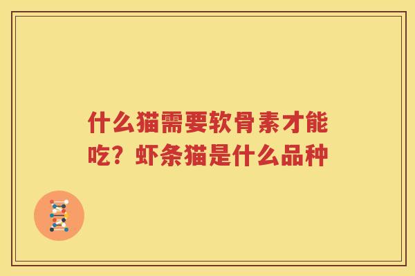 什么猫需要软骨素才能吃?虾条猫是什么品种 什么猫需要软骨素才能吃?虾条猫是什么品种