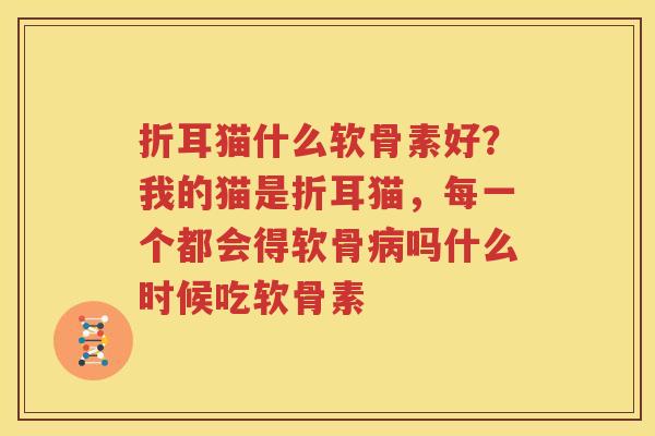 折耳猫什么软骨素好?我的猫是折耳猫,每一个都会得软骨吗什么时候吃软骨素 折耳猫什么软骨素好?我的猫是折耳猫,每一个都会得软骨吗什么时候吃软骨素